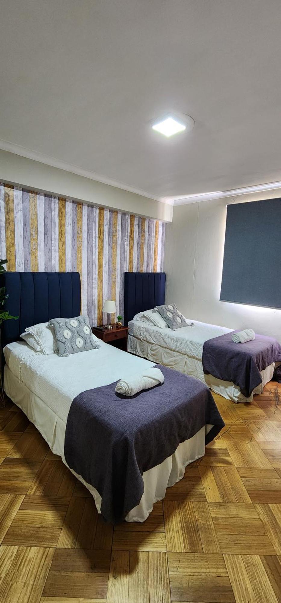 Andino Hotel Santiago del Cile